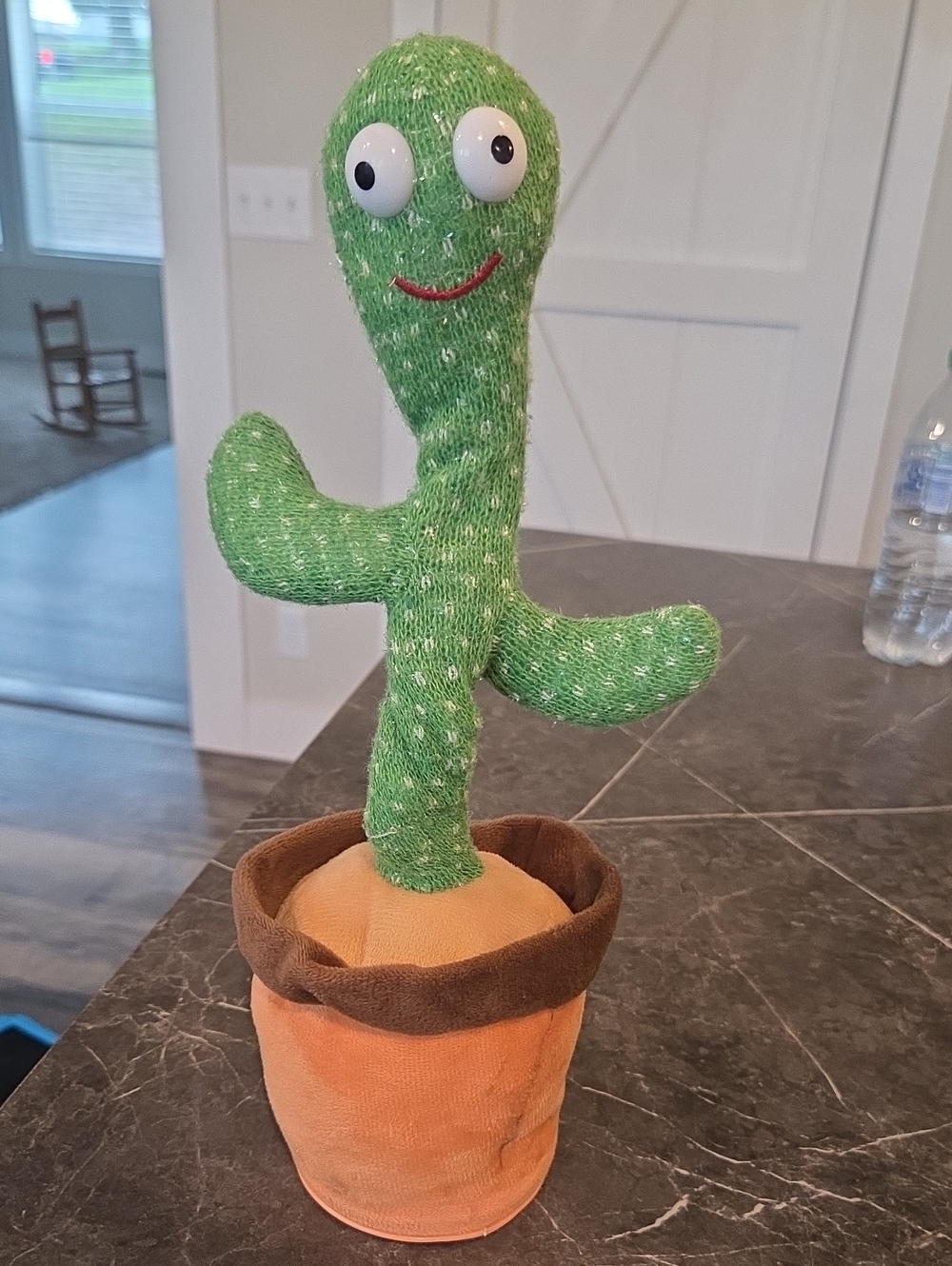 Singing, Dancing And Repeat After Me Cactus